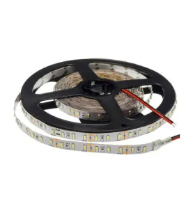 Ruban LED 12W/m DC12V longueur 5m - Blanc du Jour 6000K