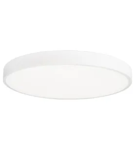 Spot Saillie LED 54W rond ∅600mm Blanc - Blanc Chaud 3000K