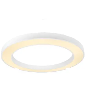 Spot Saillie LED 64W rond ∅600mm Blanc - Blanc Chaud 3000K