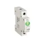 Module avec Indicateur de Tension Vert pour rail TH35