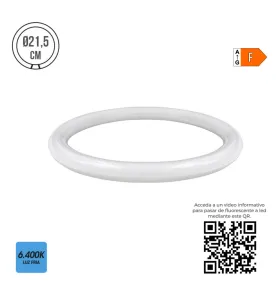 Tube LED Circulaire G10 15W 1500lm (22W) 360° - Blanc du Jour 6400K