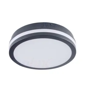 Plafonnier LED 18W à détecteur étanche IP54 rond ∅220mm Graphite - Blanc Naturel 4000K