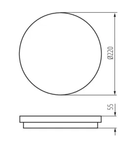 Plafonnier LED 18W à détecteur étanche IP54 rond ∅220mm Graphite - Blanc Naturel 4000K