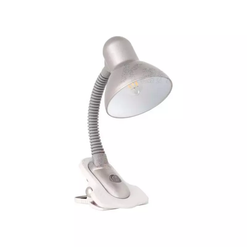 Lampe de bureau 10W Argent - culot E27