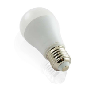 Ampoule LED E27 9W équivalent 75W - Blanc du Jour 6400K