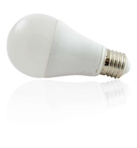 Ampoule LED E27 9W équivalent 75W - Blanc du Jour 6400K