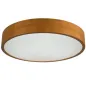 Plafonnier LED à Culot E27 3 x 20W Rond ∅475mm Or Chêne