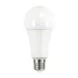 Ampoule LED 19W E27 A67 2452lm (150W) - Blanc Naturel 4000K