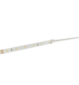 Ruban LED Blanc 60 LED/m 4,8W/m IP20 5m - Blanc du Jour 6000K