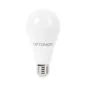 Ampoule LED E27 A70 17W 1710lm (110W) 270° - Blanc du Jour 6000K