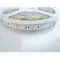 Ruban LED RGB 24V 60LED/m 14,4W/m IP65 5m