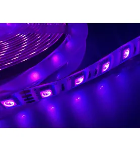 Bande LED 5050 RGB 24V IP65 lumière puissante 10m