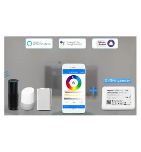 Contrôleur Étanche IP66 pour Ruban/Spot LED Mono-couleur Radio-Fréquence / Alexa / Google Assistant 036S-P