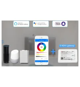 Controleur Haut de Gamme 5 en 1 Radio-Fréquence / Alexa / Google Assistant / Émetteur LED LS2