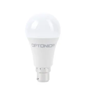 Ampoule LED B22 A60 15W équivalent à 83W - Blanc du Jour 6000K