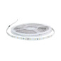 Ruban LED 19,2W 1850lm 24VDC 120° IP20 5000mm - Blanc Chaud 3000K