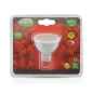 LED Dimmable GU5.3 5W lm Spot - Rouge