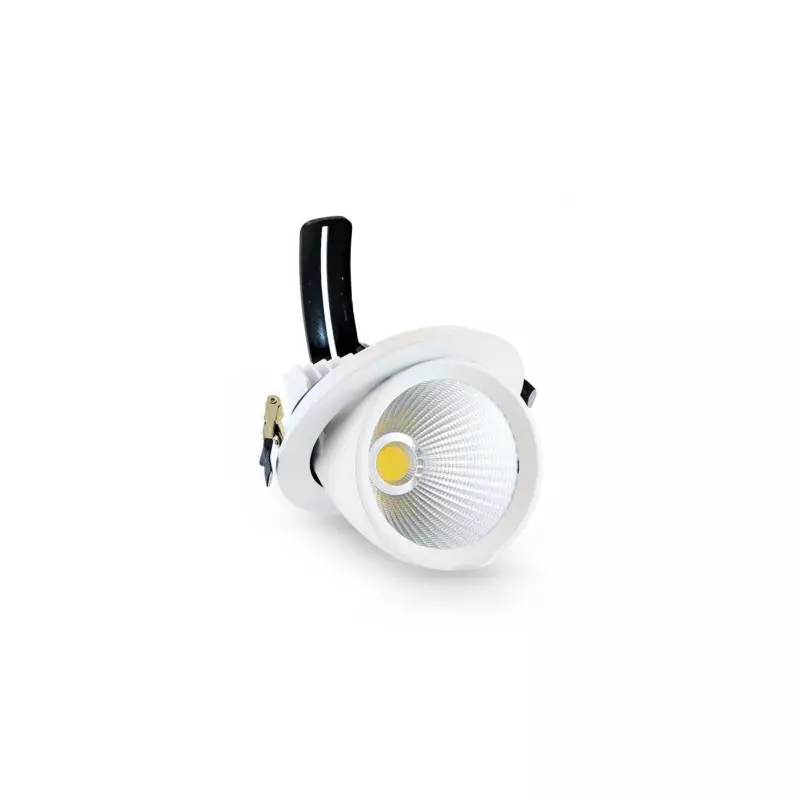 Spot LED Escargot Encastrable Rond Orientable 20W 1600lm 38° - Blanc Naturel 4000K