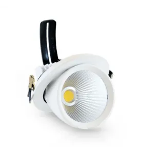 Spot LED Escargot Encastrable Rond Orientable 20W 1600lm 38° - Blanc Naturel 4000K