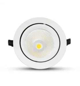 Spot LED Escargot Encastrable Orientable 60W 4800lm 25° Ø190mmx160mm- Blanc Naturel 4000K