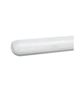 Boitier LED Intégrées Traversant AC220/240V 20W 2200lm 110° Etanche IP65 IK08 600mm - Blanc Naturel 4000K