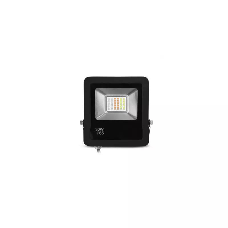 Projecteur Extérieur LED Dimmable AC220/240V 30W 110° Étanche IP65 168mmx27mm Noir - RGB