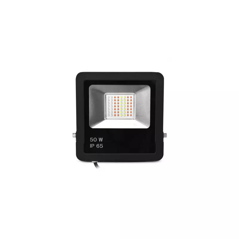 Projecteur Extérieur LED AC220/240V 50W 110° Étanche IP65 200mmx36mm Noir - RGB