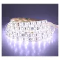 Bandeau LED Dimmable DC24V 14.4W/m 270lm/m 60LEDs/m 180° Étanche IP65 5m - Blanc du Jour 6000K