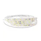 Bandeau LED Dimmable DC24V 12,4 W/m 60LED/m 884lm/m 120° IP20 5m - Blanc du Jour 6000K