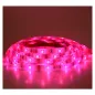 Bandeau LED RGB 5m 30 LED/m 36W IP65