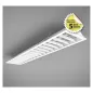 Plafonnier LED AC200/240V 25W 3700lm 110° 1250mm - Blanc Naturel 4000K