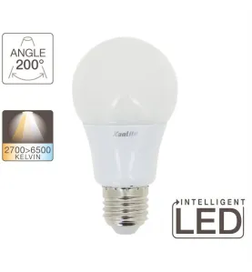 Ampoule LED E27 A60 10W 806lm (60W) 200° - Tricolor