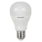 Ampoule LED E27 10W 810lm (60W) - Blanc Chaud 2700K