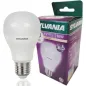 Ampoule LED E27 10W 810lm (60W) - Blanc Chaud 2700K