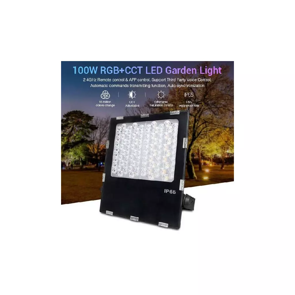 Projecteur LED RGB Extérieur 100W Vision EL 8047