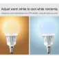 Ampoule LED E14 5W 450lm 240° Ø60mm RF 2.4GHz - RGB+CCT 2700K-6500K 013