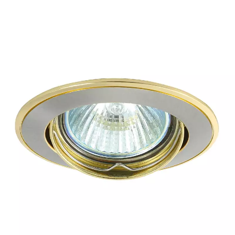 Spot LED Encastrable Rond GU5.3/GU10 Orientable 30° IP20