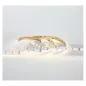 Bandeau LED Dimmable DC12V 9W/m 960lm/m 60LED/m 120° IP20 5m - Blanc Naturel 4000K