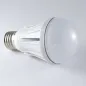 Lot de 5 Ampoules LED E27 12W Éclairage 100W - Blanc Chaud 2700K