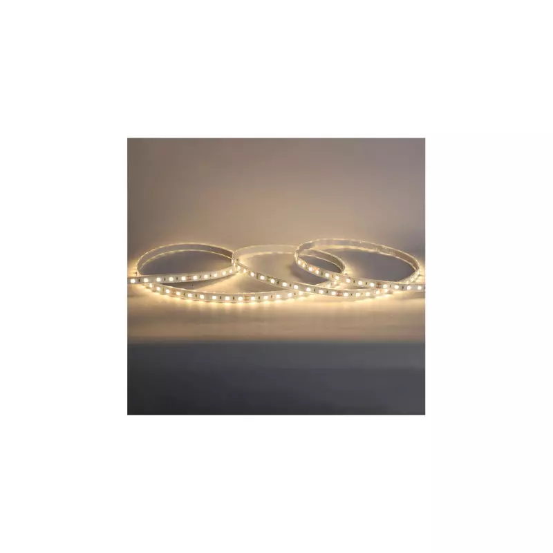 Bandeau LED Dimmable 9W/m 970lm/m 60LED/m 120° Étanche IP67 5m - Blanc Chaud 3000K