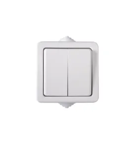 Double interrupteur simple TEKNO - IP54, 10AX, 250V AC