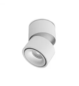 Applique Décorative CCT 12W Blanc Inclinable - 1000lm - 3000-6000K - Ø102mm