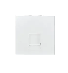 Prise informatique simple RJ45 Cat 5e - 45mm x 45mm - ABS - 2 modules