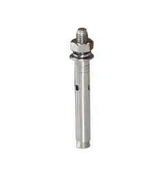 Boulon d'expansion de 60 mm de long - Argent