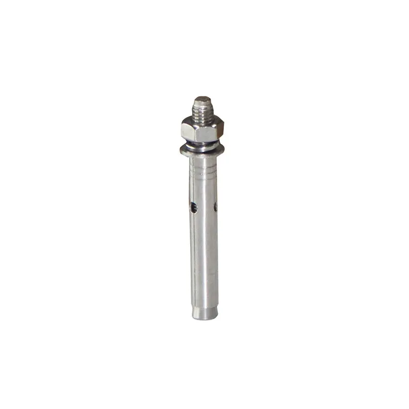 Boulon d'expansion de 60 mm de long - Argent