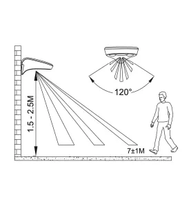 Applique Solaire Noire avec Capteur 1,8W 155lm IP44 - Blanc Du Jour 6500K