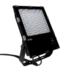 Projecteur De Jardin LED 100W 7500LM IP65 25° -  RGB+CCT 2700~6500K (DMX512 & RDM)