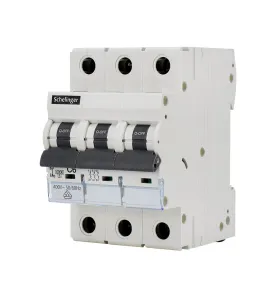 Disjoncteur tripolaire 10A - Protection contre les surintensités - Pouvoir de coupure 4kV - Courbe B - IP20