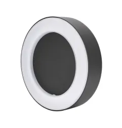 Plafonnier LED Extérieur Décoratif VALIT - 10W - 800lm - 3000K - IP65 - 200x45mm - Graphite