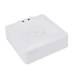 Luminaire d'urgence SKALER - Carré 3W - IP40 - Autotest 3H - 161lm - 6000K - 150x150x44mm